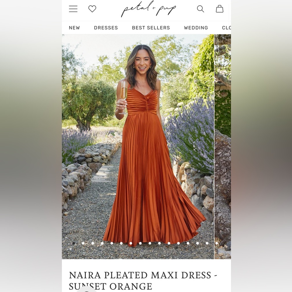 Naira Pleated Maxi Dresss